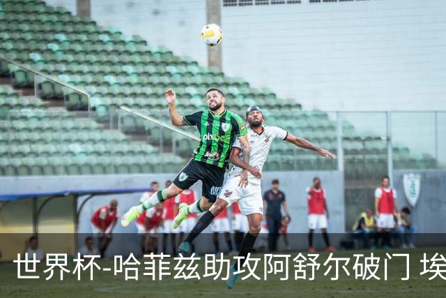 世界杯-哈菲兹助攻阿舒尔破门 埃及半场暂1-0澳大利亚